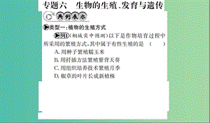 中考生物 專題綜合突破 專題六 生物的生殖、發(fā)育與遺傳課件.ppt