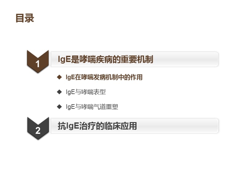 IgE与哮喘的发病机制.ppt_第2页