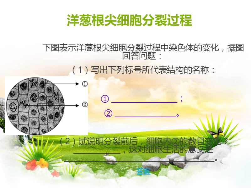 生物七年级上考点试题.ppt_第2页