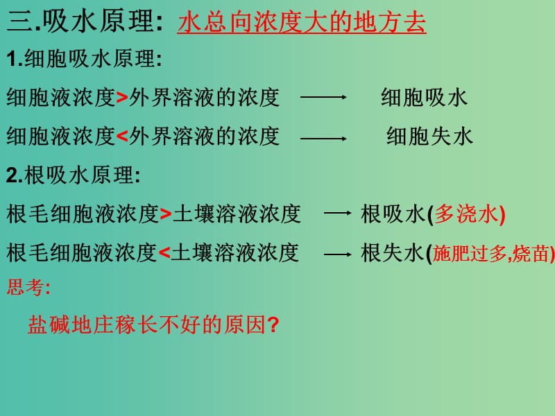 中考生物6根吸收水和无机盐复习课件.ppt_第3页