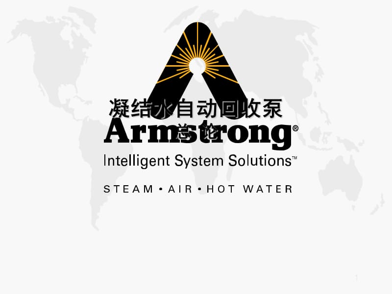 Armstrong凝结水泵成功案例.ppt_第1页