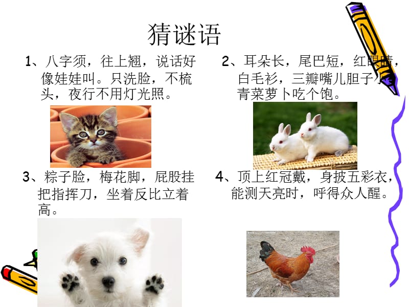 小学四年级作文-我喜欢的小动物.ppt_第1页