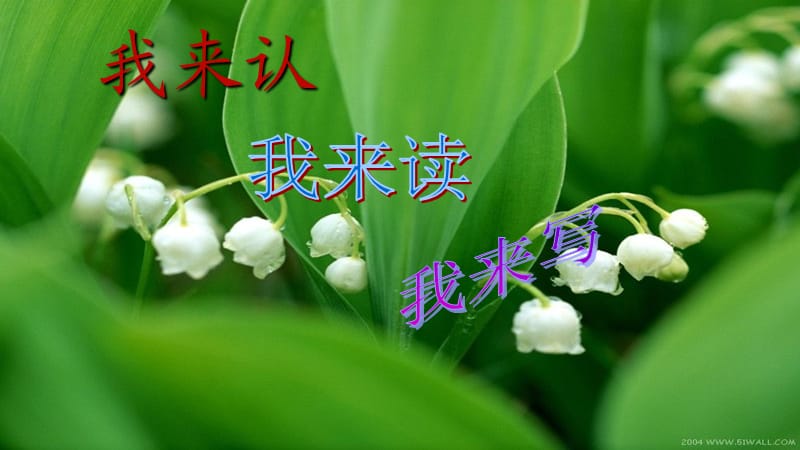 各具特色的民居字词.ppt_第1页