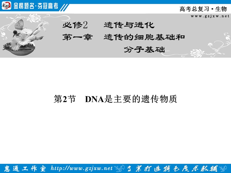 DNA是主要的遗传物质.ppt_第1页