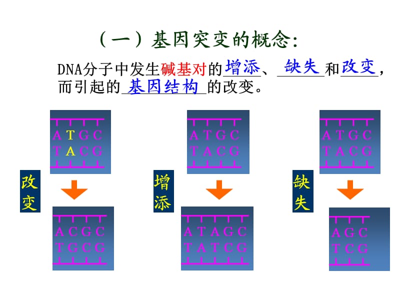 《生物变异的来源》PPT课件.ppt_第2页