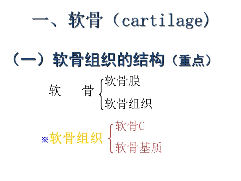 D3软骨和骨_第3页