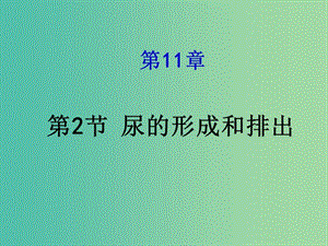 七年級生物下冊 11.2《尿的形成與排出》課件 （新版）北師大版.ppt