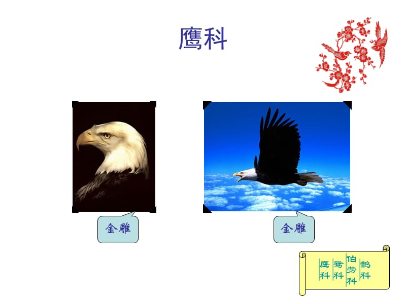 大一上学期计算机课PPT作业.ppt_第2页