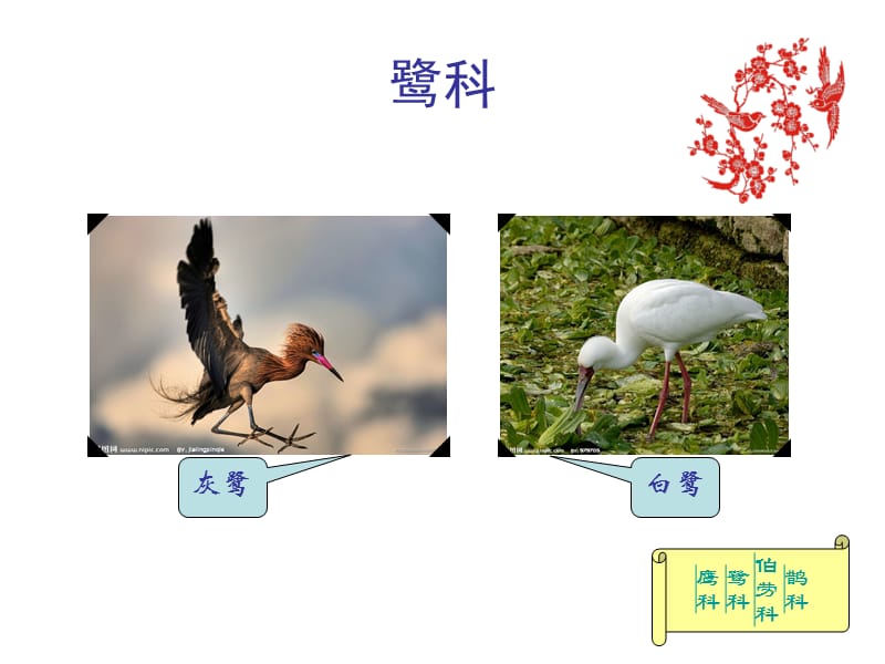 大一上学期计算机课PPT作业.ppt_第3页