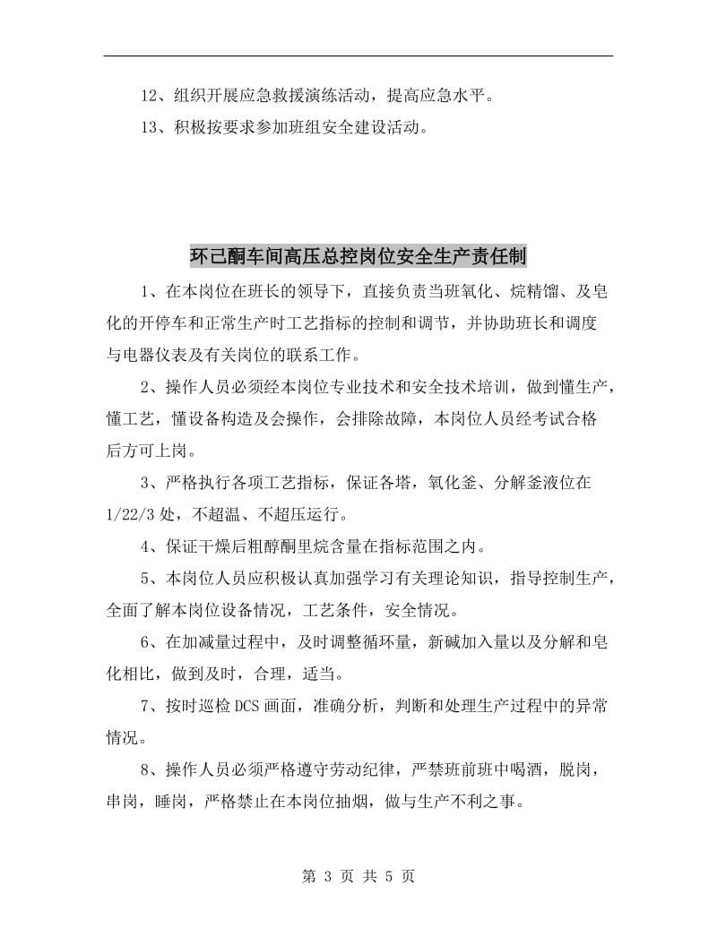 环己酮车间车间主任安全生产责任制.doc_第3页