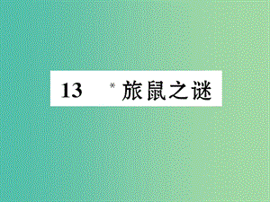 八年級(jí)語文下冊 第三單元 人與環(huán)境 13《旅鼠之謎》導(dǎo)學(xué)課件 （新版）新人教版.ppt