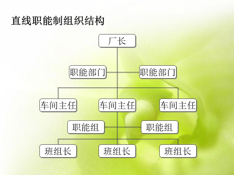 金苹果公司的组织结构设计.ppt_第3页