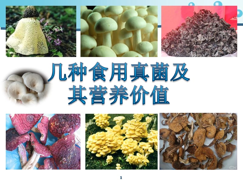 几种食用真菌及其营养价值.ppt_第1页