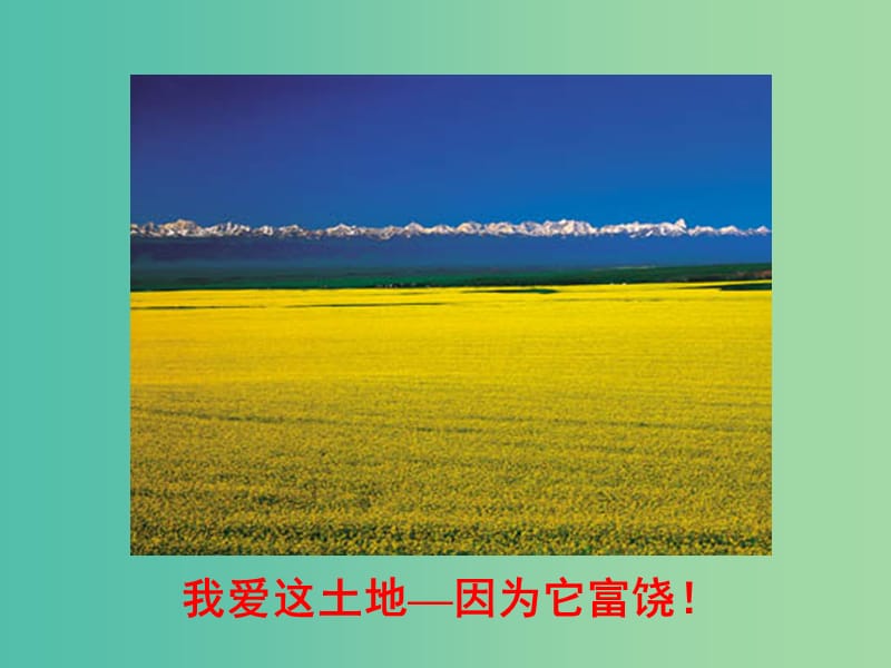 八年级语文下册 第3单元 13 我爱这土地课件 鄂教版.ppt_第3页