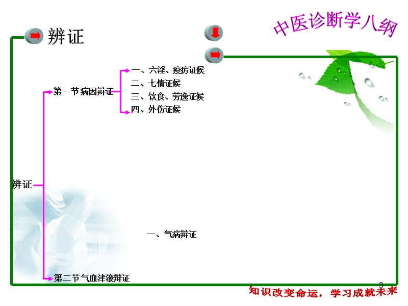 中医诊断学辩证ppt课件_第3页