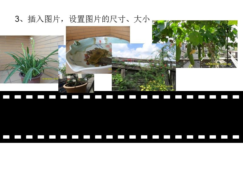 ppt制作胶片走动效果技巧PPT模板.ppt_第2页