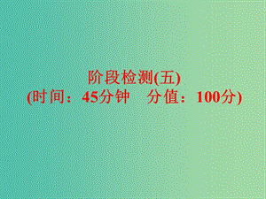 中考化學 第一部分 教材梳理 階段練習 階段檢測（五）課件 （新版）魯教版.ppt