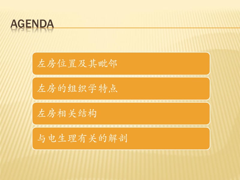 左房解剖学基础ppt课件_第2页