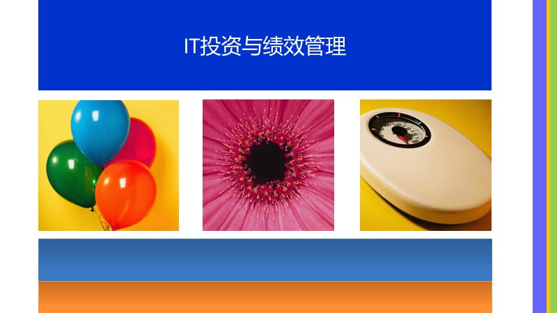 IT投资与绩效管理.ppt_第1页