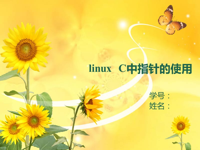 linuxC中指针的使用.ppt_第1页