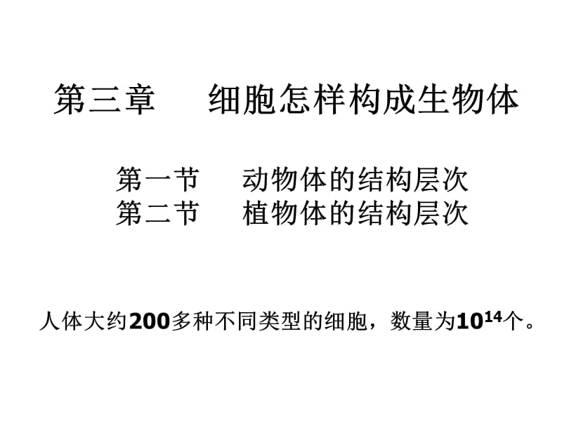 生物动物体的结构层次.ppt_第1页