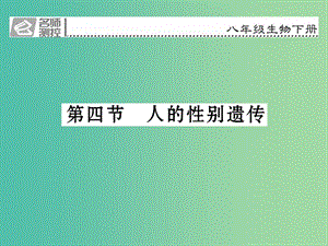 八年級(jí)生物下冊(cè) 第七單元 第二章 第四節(jié) 人的性別遺傳課件 （新版）新人教版.ppt