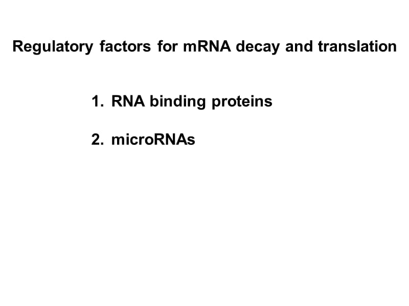 RNA结合蛋白与转录后调控(精).ppt_第3页
