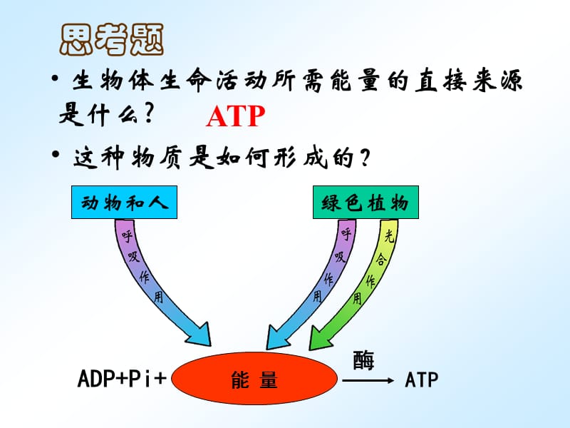 ATP的主要来源-细胞呼吸.ppt_第2页