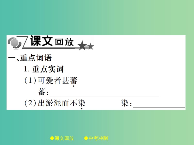 中考语文总复习 第2部分 古诗文积累与阅读 专题14 文言文阅读（规定篇目复习）（19）爱莲说课件.ppt_第2页