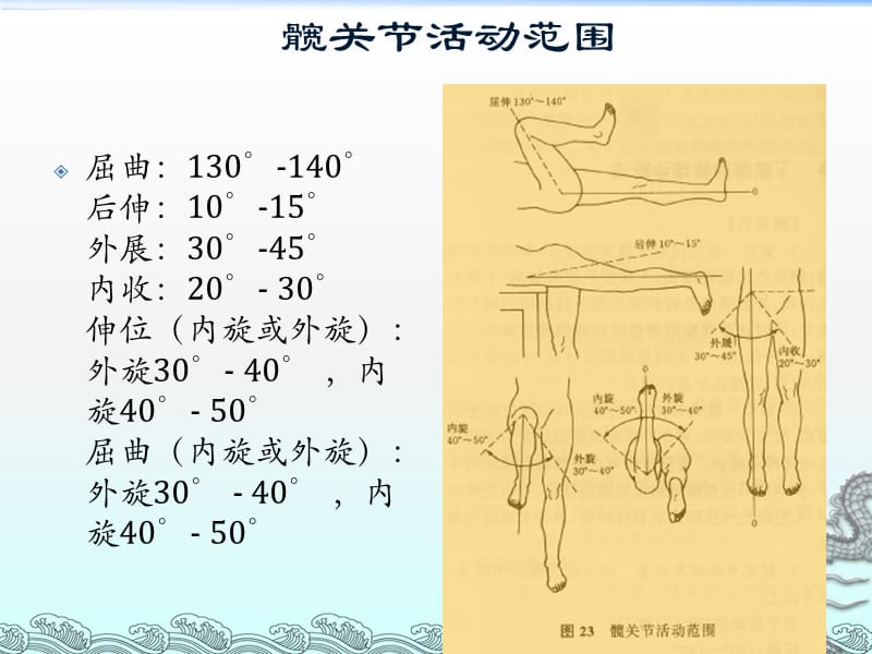 髋关节体格检查ppt课件_第3页