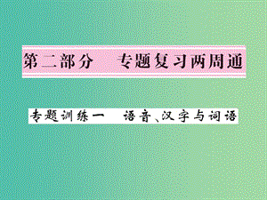 八年级语文下册专题训练复习一语音汉字与词语课件新版语文版.ppt