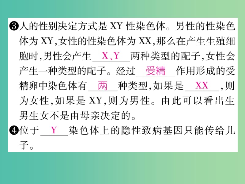 八年级生物下册第七单元第二章第四节人的性别遗传第1课时课件新版新人教版.ppt_第3页