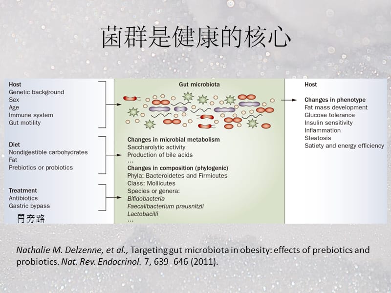 肠道菌群与人体代谢疾病ppt课件_第3页