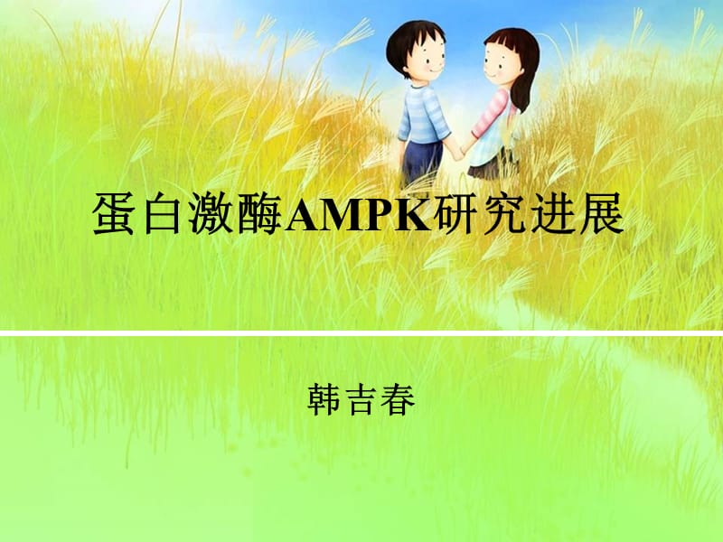 《AMPK研究进展》PPT课件.ppt_第1页