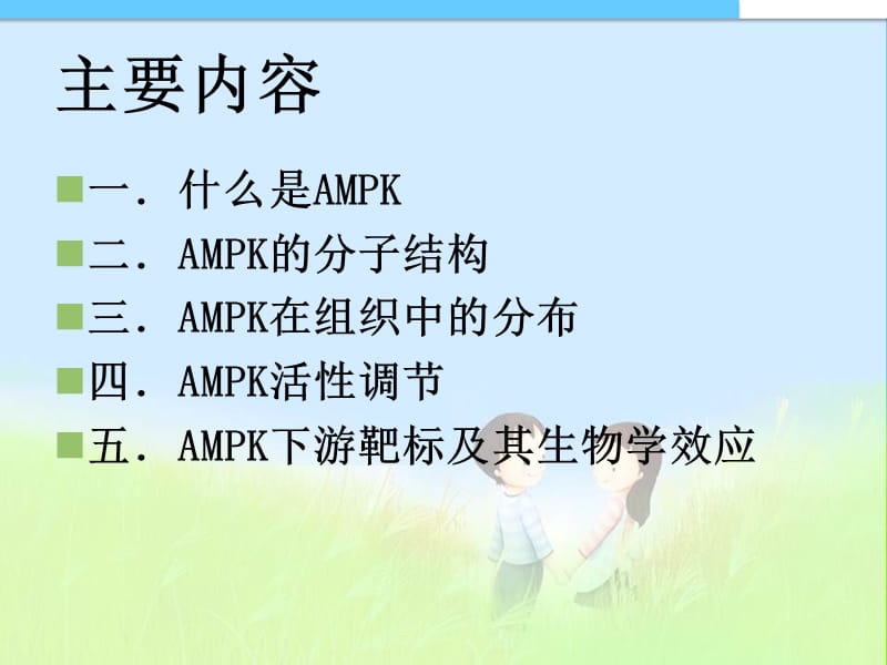 《AMPK研究进展》PPT课件.ppt_第2页