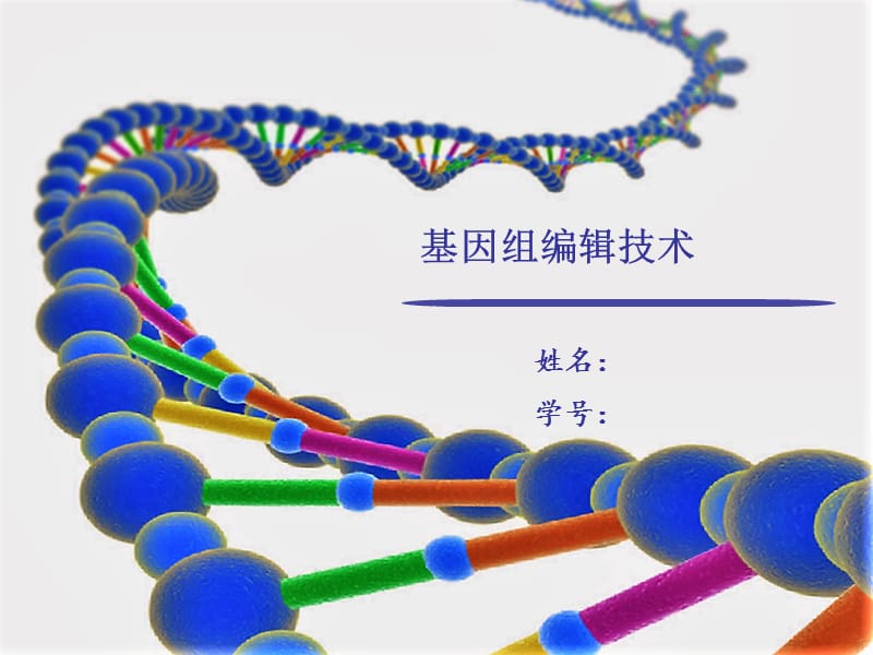 CRISPR基因编辑技术教程.ppt_第1页