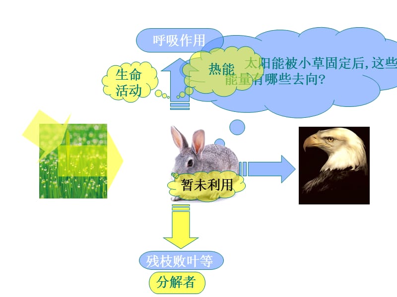 《生态环境的稳态》课件4(苏教版必修3).ppt_第3页