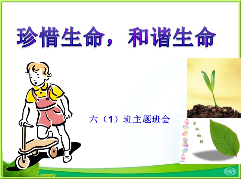 《珍惜生命和谐生命》主题班会.ppt_第1页