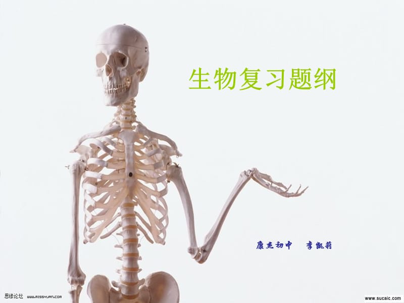 初一下册期中生物复习题纲.ppt_第1页