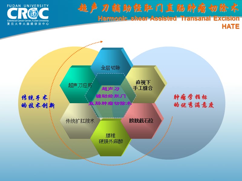 经肛门低位直肠肿瘤局部切除的技术比较.ppt_第3页