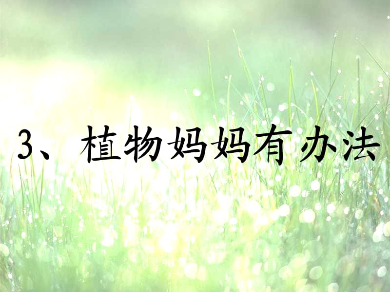 植物妈妈有办法教学.ppt_第1页