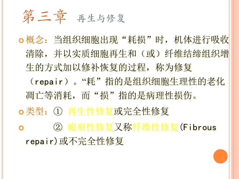 【病理】修复_第1页