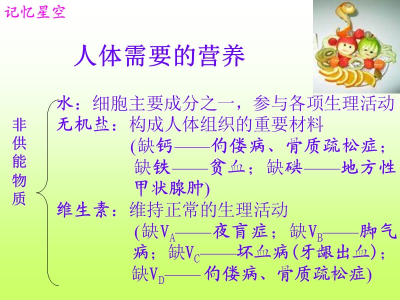 人的食物来源于环境.ppt_第3页