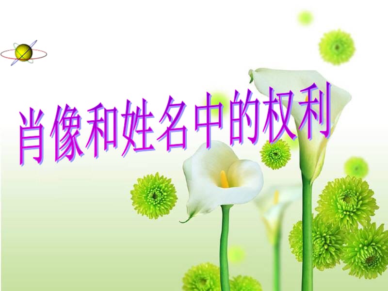 肖像和姓名中的权利.ppt_第1页