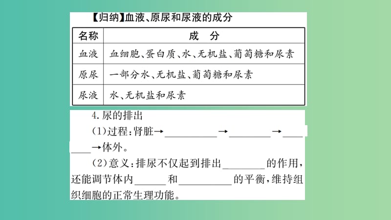 中考生物 知识系统复习 第四单元 第五章 人体内废物的排除课件.ppt_第3页