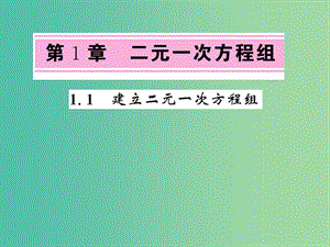 七年級數(shù)學(xué)下冊 1.1 二元一次方程組課件 （新版）湘教版.ppt