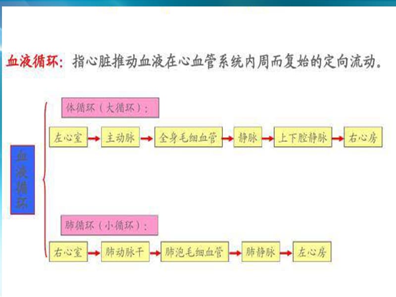 颈部血管解剖ppt课件_第3页