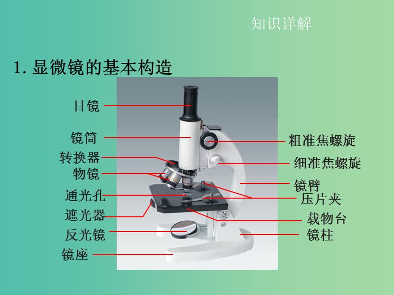 中考生物复习 第二单元 第一节 细胞是生命活动的基本单位课件.ppt_第3页