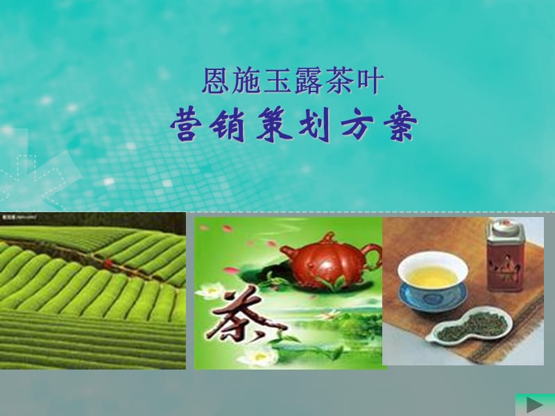 玉露茶营销策划案.ppt_第1页