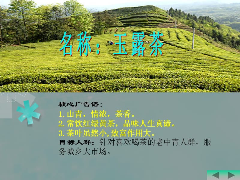 玉露茶营销策划案.ppt_第2页